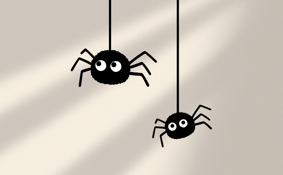 Peppermint Oil Spider Repellent